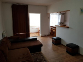 Apartament Delfinariu-Constanta